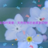 蓝莓叶黄素：天然营养还是激素药物？