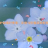 每舒蓝莓叶黄素：价格与价值的深度剖析