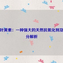 蓝莓叶黄素：一种强大的天然抗氧化剂及其成分解析