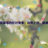 姿优能蓝莓枸杞叶黄素：自然之选，健康之光