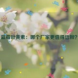 蓝莓叶黄素：哪个厂家更值得信赖？