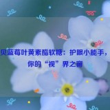 中恩贝蓝莓叶黄素酯软糖：护眼小能手，守护你的“视”界之窗