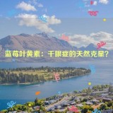 蓝莓叶黄素：干眼症的天然克星？