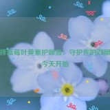 立敏牌蓝莓叶黄素护眼液：守护你的双眼，从今天开始