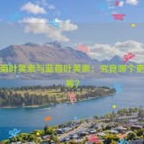 万寿菊叶黄素与蓝莓叶黄素：究竟哪个更胜一筹？