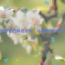 蓝莓叶黄素的神奇功效：从眼睛保护到全身健康