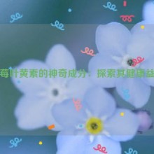 蓝莓叶黄素的神奇成分：探索其健康益处