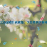 白云山蓝莓叶黄素酯：大自然的护眼神器