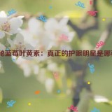 揭秘蓝莓叶黄素：真正的护眼明星是哪种？