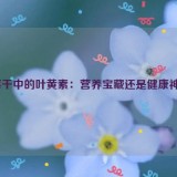 蓝莓干中的叶黄素：营养宝藏还是健康神话？