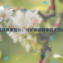 蓝莓叶黄素酯片：守护眼睛健康的天然盾牌