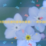 如何挑选优质的蓝莓叶黄素：一份全面指南