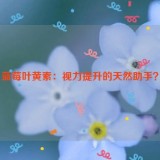 蓝莓叶黄素：视力提升的天然助手？