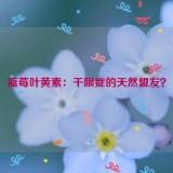 蓝莓叶黄素：干眼症的天然盟友？