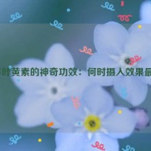 蓝莓叶黄素的神奇功效：何时摄入效果最佳？
