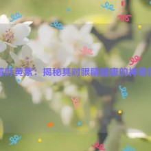 蓝莓叶黄素：揭秘其对眼睛健康的神奇作用