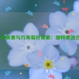 蓝莓叶黄素与万寿菊叶黄素：哪种更适合你？