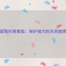 蓝莓叶黄素酯：保护视力的天然盾牌