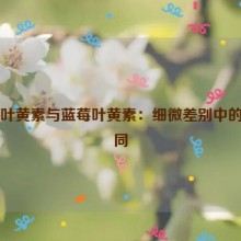 越橘叶黄素与蓝莓叶黄素：细微差别中的大不同