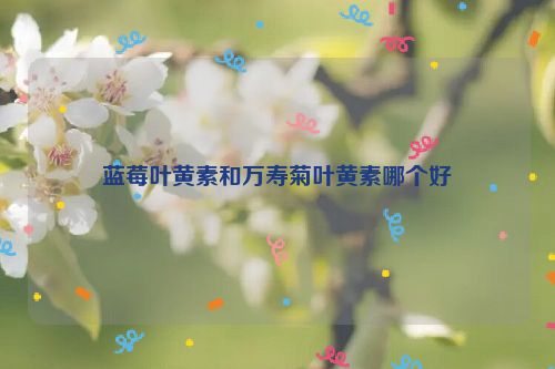 蓝莓叶黄素和万寿菊叶黄素哪个好