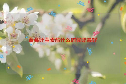 蓝莓叶黄素酯什么时候吃最好