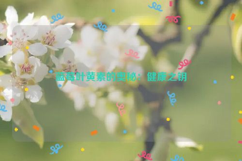 蓝莓叶黄素的奥秘：健康之钥