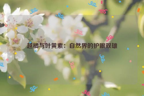 越橘与叶黄素：自然界的护眼双雄