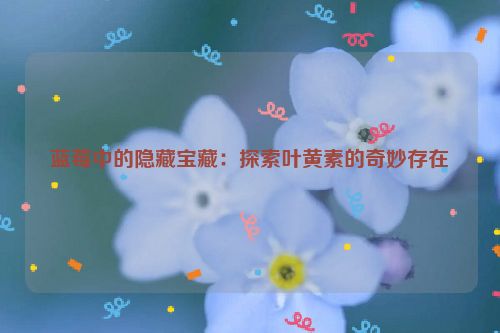 蓝莓中的隐藏宝藏：探索叶黄素的奇妙存在