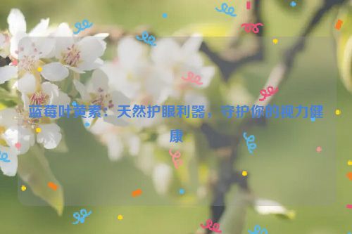 蓝莓叶黄素：天然护眼利器，守护你的视力健康