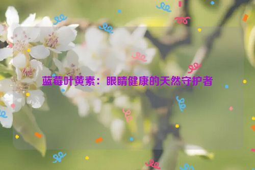 蓝莓叶黄素：眼睛健康的天然守护者