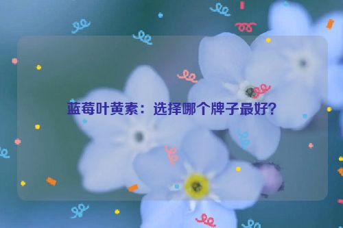 蓝莓叶黄素：选择哪个牌子最好？