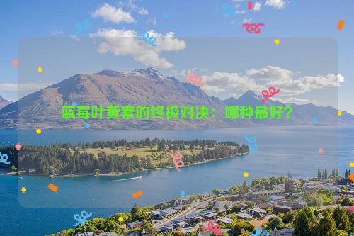 蓝莓叶黄素的终极对决：哪种最好？