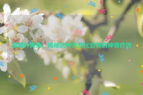 蓝莓叶黄素：揭秘这种天然化合物的神奇疗效