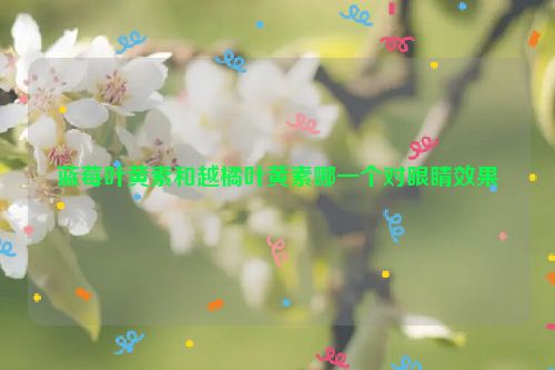 蓝莓叶黄素和越橘叶黄素哪一个对眼睛效果