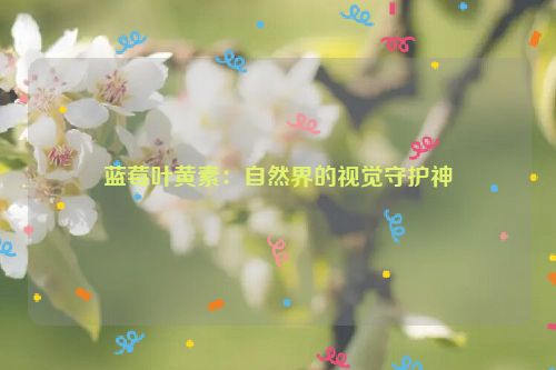 蓝莓叶黄素：自然界的视觉守护神