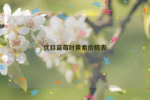 优目蓝莓叶黄素价格表