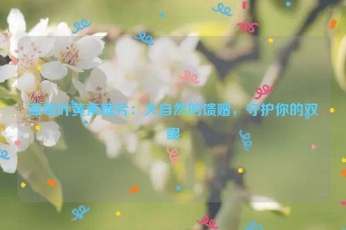 蓝莓叶黄素糖片：大自然的馈赠，守护你的双眼