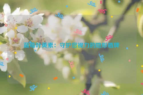 蓝莓叶黄素：守护您视力的隐形盾牌