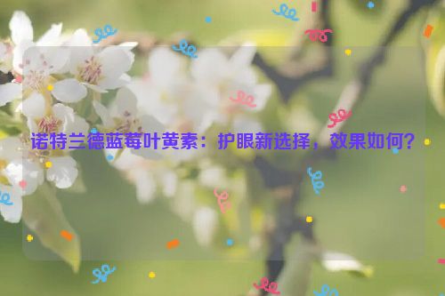 诺特兰德蓝莓叶黄素：护眼新选择，效果如何？