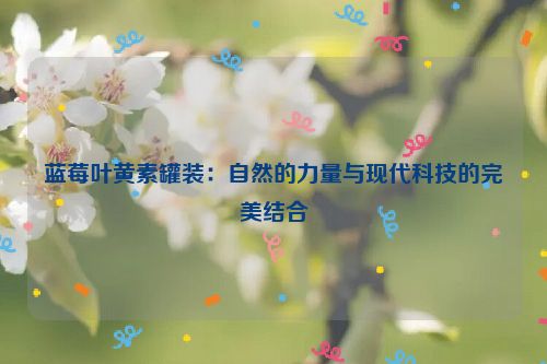 蓝莓叶黄素罐装：自然的力量与现代科技的完美结合