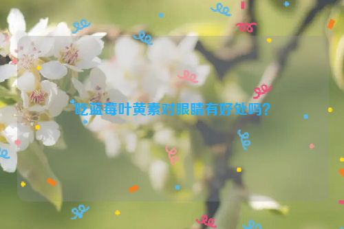 吃蓝莓叶黄素对眼睛有好处吗？