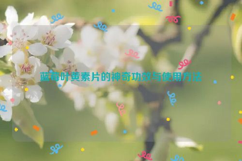 蓝莓叶黄素片的神奇功效与使用方法