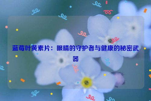 蓝莓叶黄素片：眼睛的守护者与健康的秘密武器