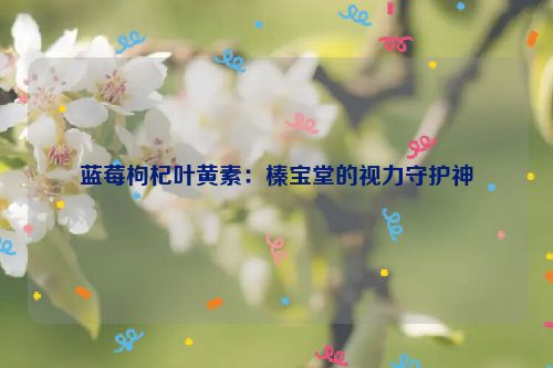 蓝莓枸杞叶黄素：榛宝堂的视力守护神