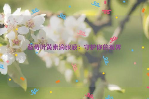 蓝莓叶黄素滴眼液：守护你的视界