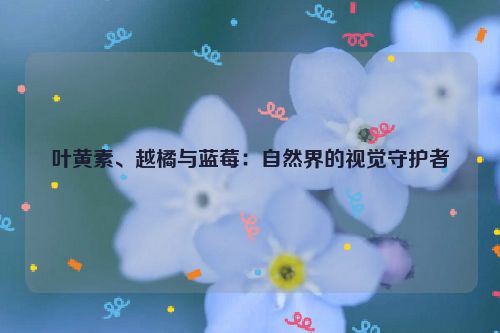 叶黄素、越橘与蓝莓：自然界的视觉守护者