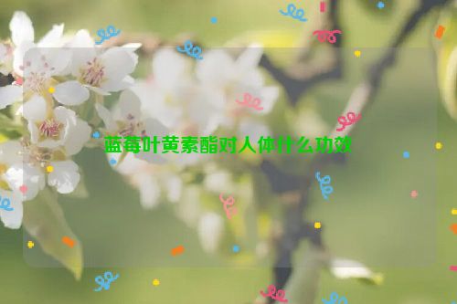 蓝莓叶黄素酯对人体什么功效