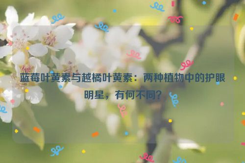 蓝莓叶黄素与越橘叶黄素：两种植物中的护眼明星，有何不同？