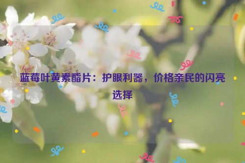 蓝莓叶黄素酯片：护眼利器，价格亲民的闪亮选择