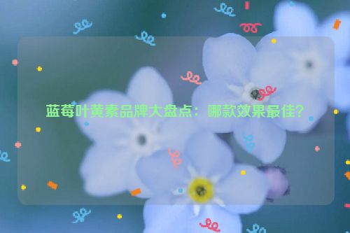 蓝莓叶黄素品牌大盘点：哪款效果最佳？